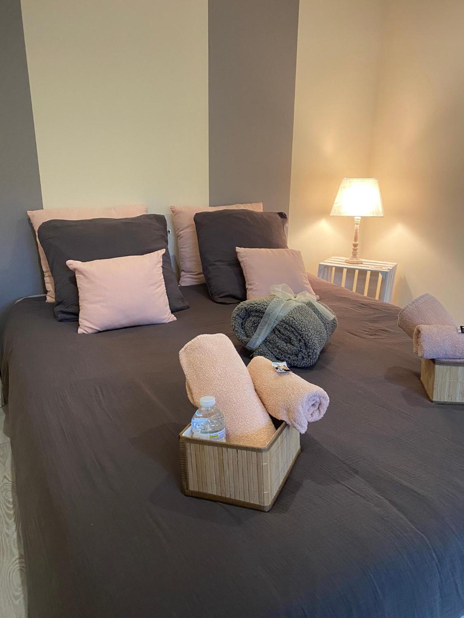 Severine Chambres D'Hotes Floing 外观 照片
